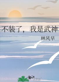 不装了，我是武神